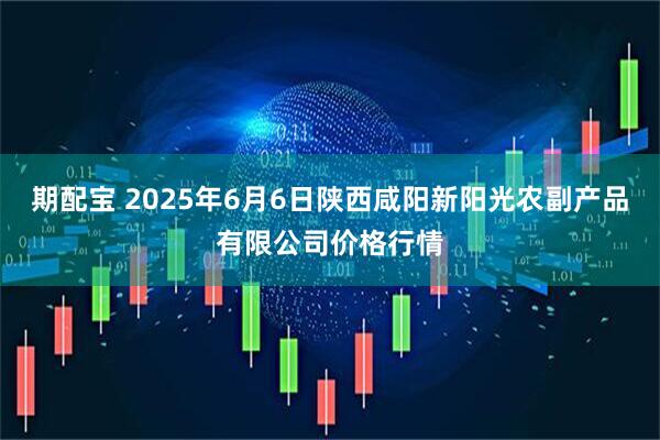 期配宝 2025年6月6日陕西咸阳新阳光农副产品有限公司价格行情