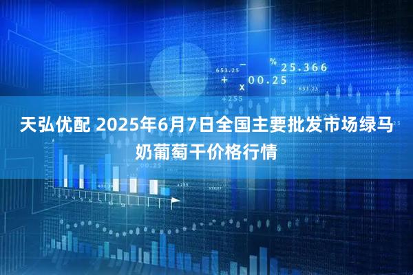 天弘优配 2025年6月7日全国主要批发市场绿马奶葡萄干价格行情