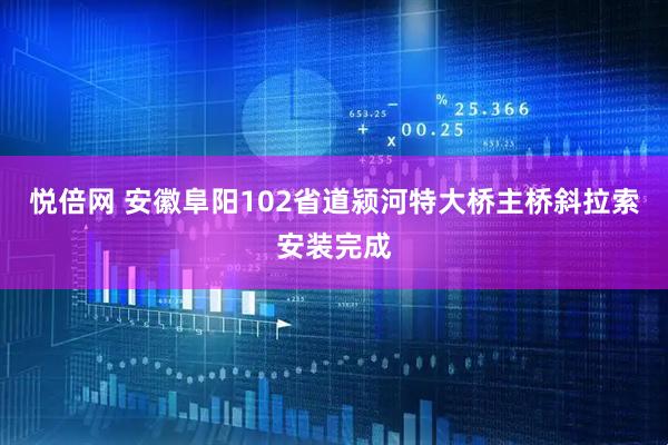悦倍网 安徽阜阳102省道颍河特大桥主桥斜拉索安装完成