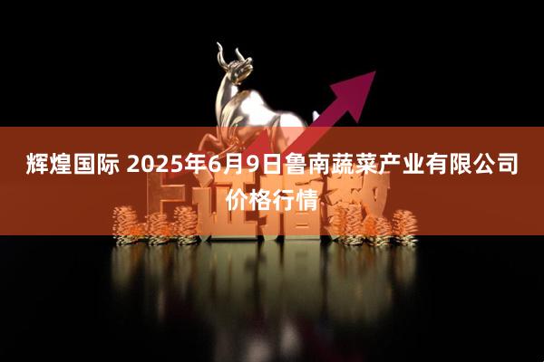 辉煌国际 2025年6月9日鲁南蔬菜产业有限公司价格行情