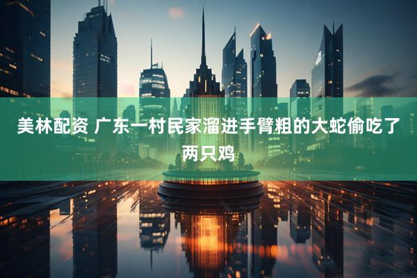 美林配资 广东一村民家溜进手臂粗的大蛇偷吃了两只鸡