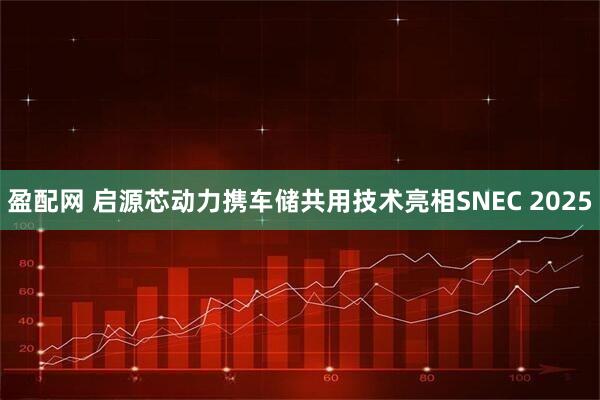 盈配网 启源芯动力携车储共用技术亮相SNEC 2025