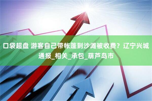 口袋超盘 游客自己带帐篷到沙滩被收费？辽宁兴城通报_相关_承包_葫芦岛市