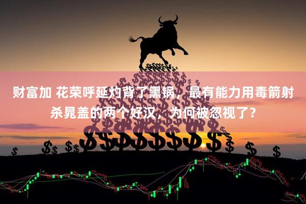 财富加 花荣呼延灼背了黑锅，最有能力用毒箭射杀晁盖的两个好汉，为何被忽视了？